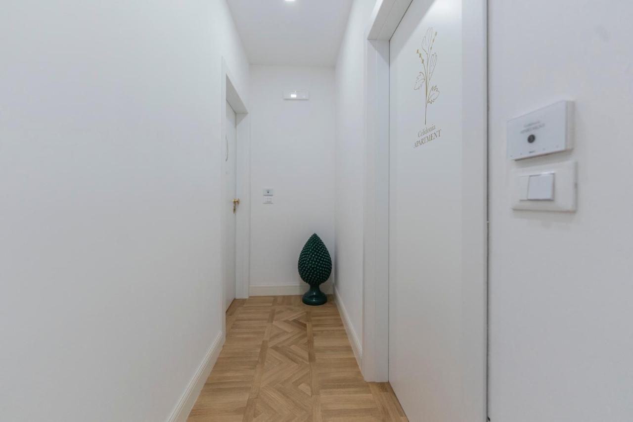 Aldrovandi Luxury Suites And Apartment Bologna Kültér fotó